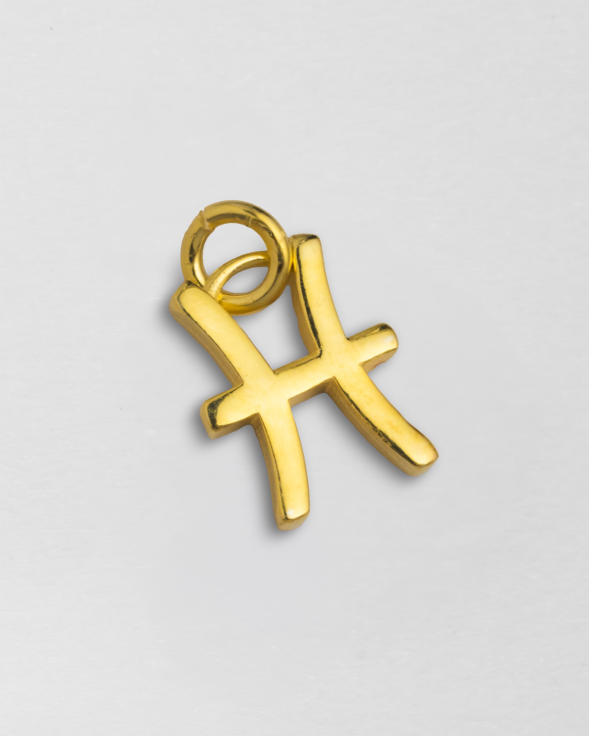 Charm Zodiac