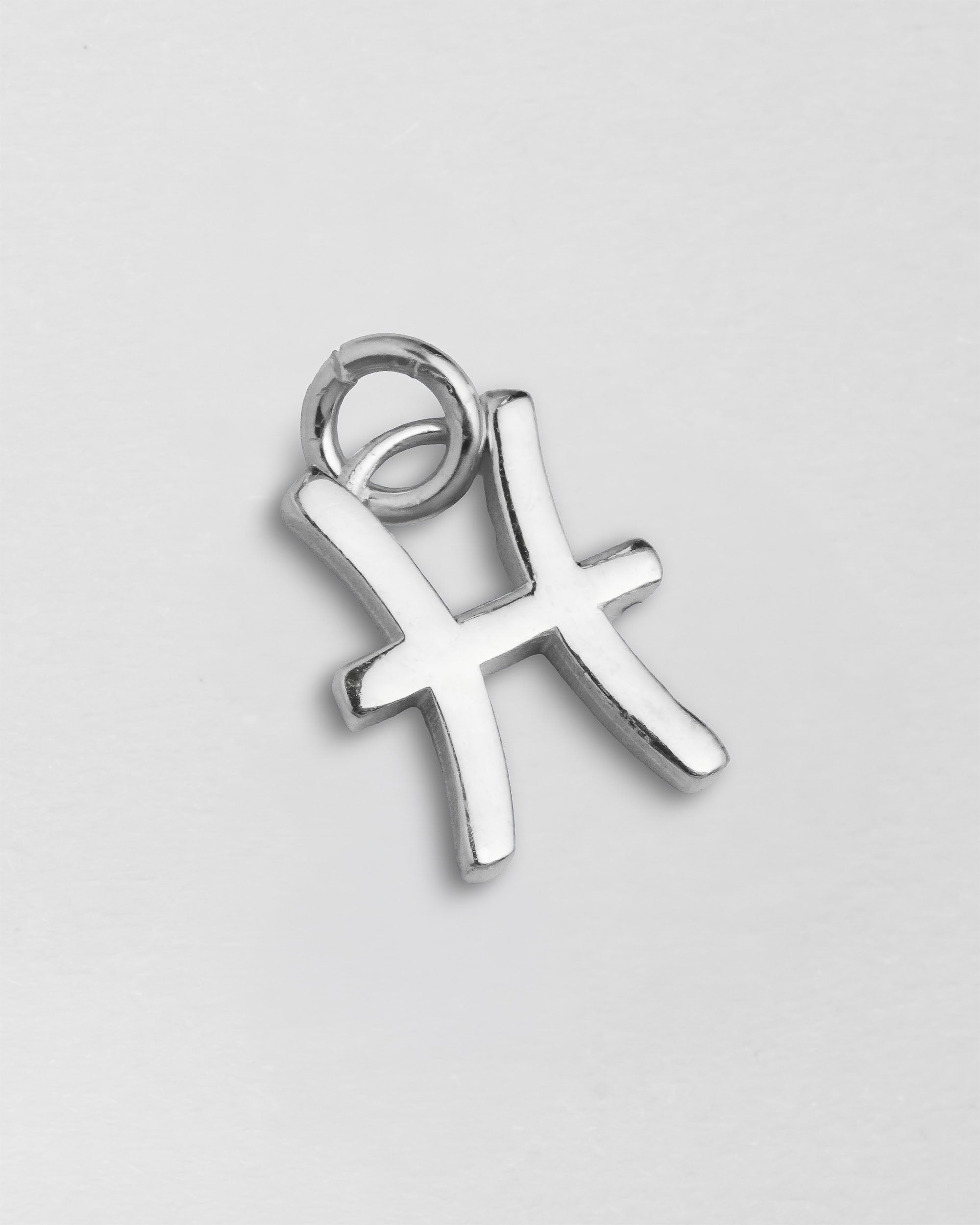 Charm Zodiac